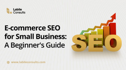 Ecommerce SEO for Small Business